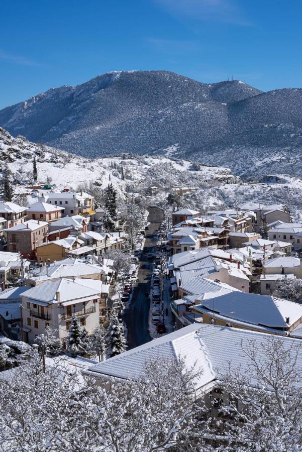 Paeonia Arachova Hotel ภายนอก รูปภาพ