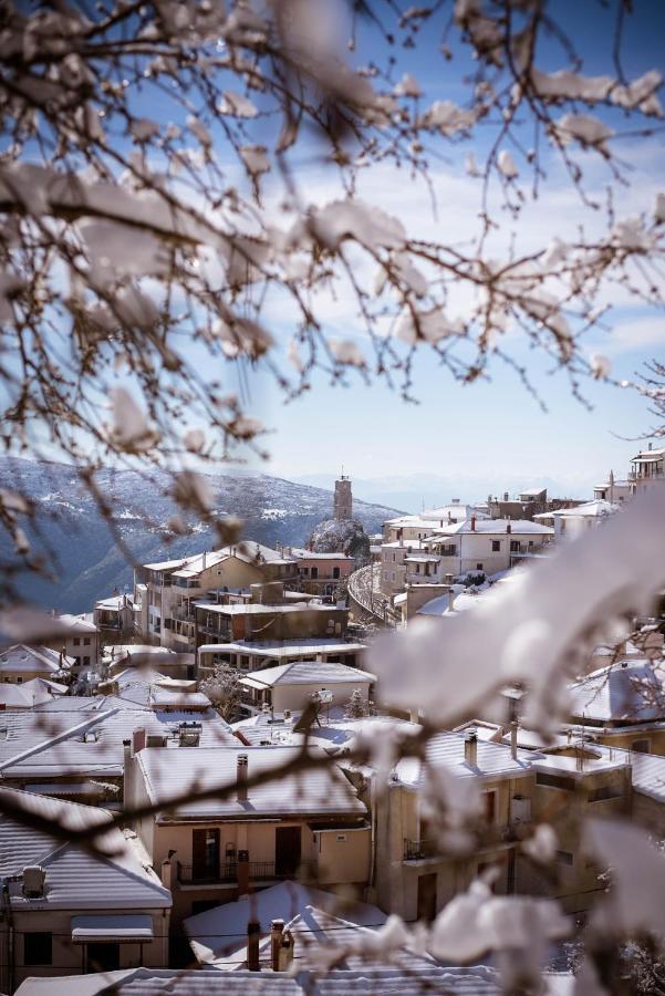 Paeonia Arachova Hotel ภายนอก รูปภาพ